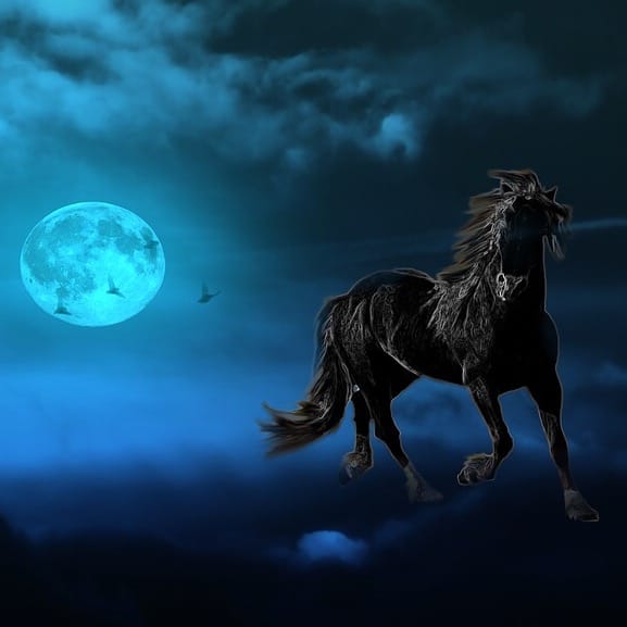 Nightmara