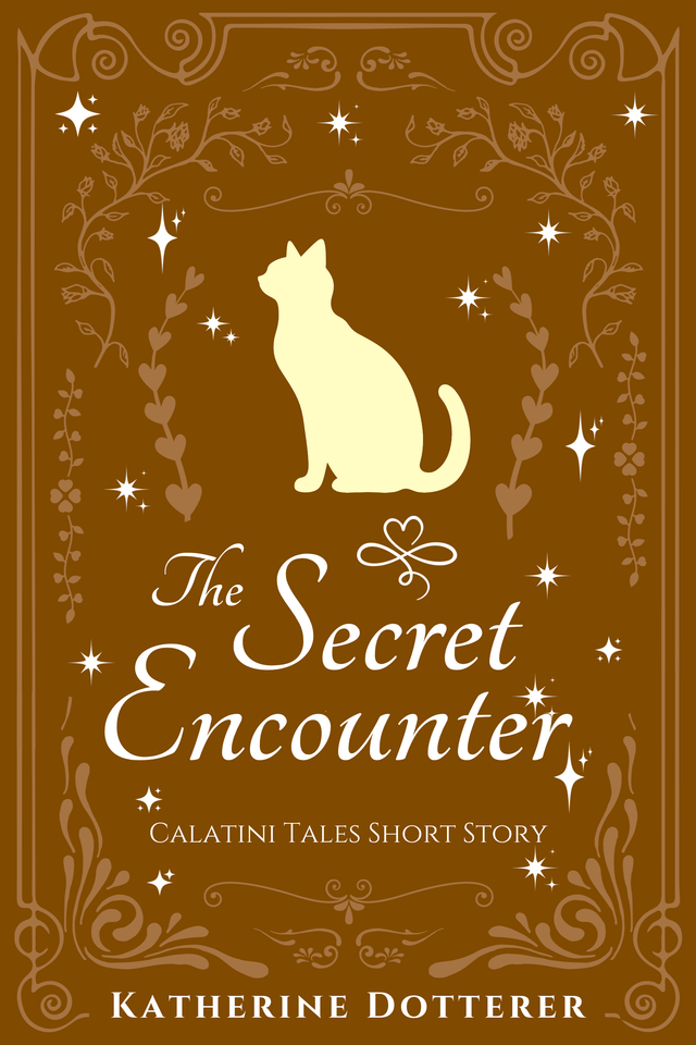 The Secret Encounter