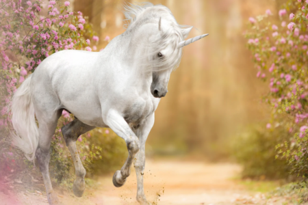 Unicorn